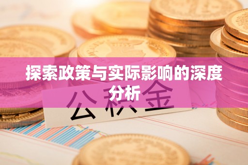 南川探索政策与实际影响的深度分析