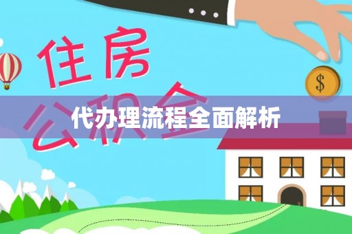 南川代办理流程全面解析