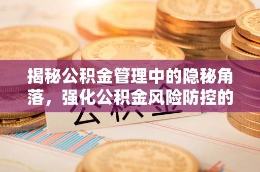 南川揭秘公积金管理中的隐秘角落，强化公积金风险防控的必要性与路径