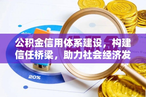 南川公积金信用体系建设，构建信任桥梁，助力社会经济发展