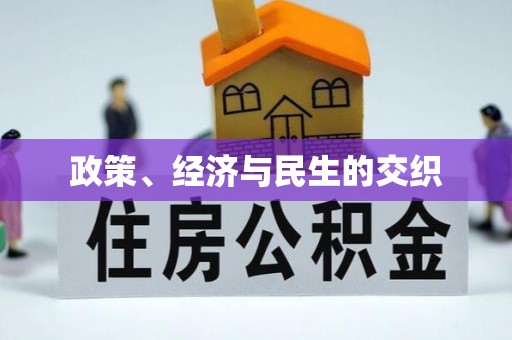 南川政策、经济与民生的交织