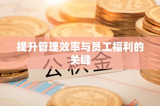 南川提升管理效率与员工福利的关键