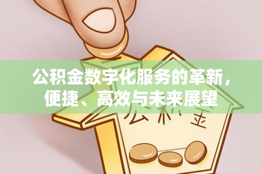 南川公积金数字化服务的革新，便捷、高效与未来展望
