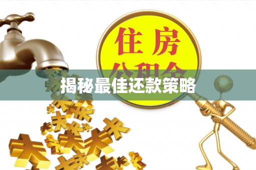 南川揭秘最佳还款策略