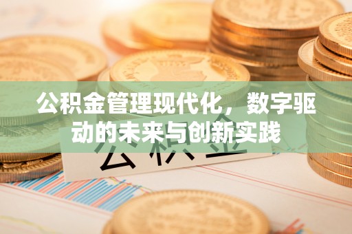 南川公积金管理现代化，数字驱动的未来与创新实践