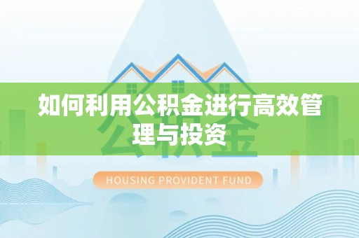 南川如何利用公积金进行高效管理与投资