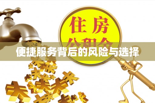 南川便捷服务背后的风险与选择