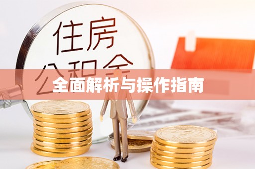 南川全面解析与操作指南