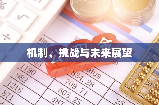 南川机制、挑战与未来展望
