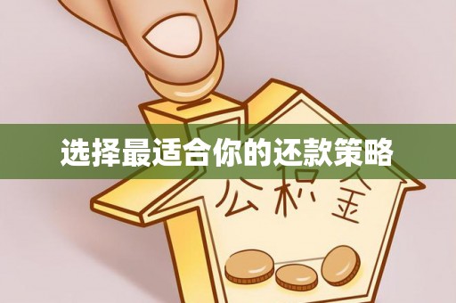 南川选择最适合你的还款策略