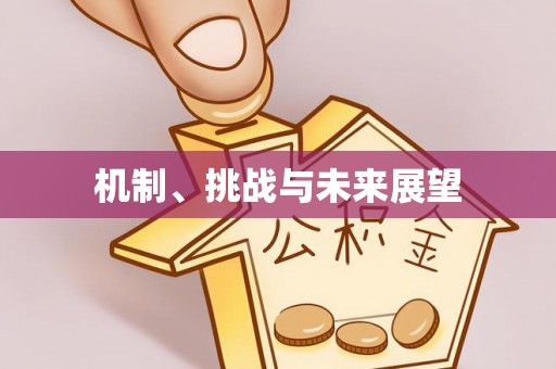 南川机制、挑战与未来展望