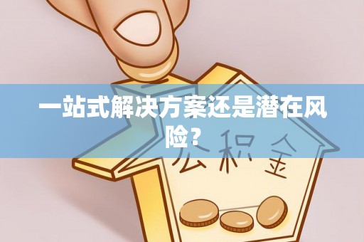 南川一站式解决方案还是潜在风险？
